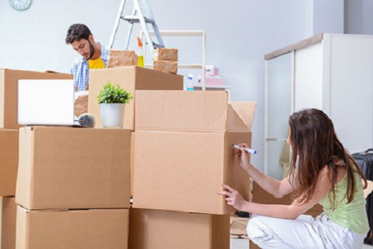 domestic-moving