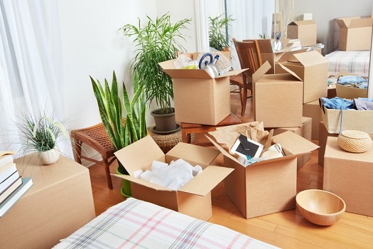 packing